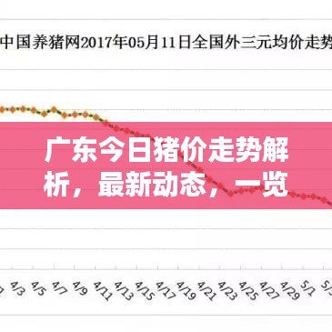 广东今日猪价走势解析，最新动态，一览无余