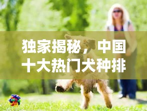 独家揭秘，中国十大热门犬种排名榜单！