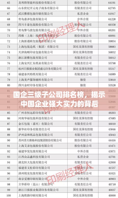 国企三级子公司排名榜，揭示中国企业强大实力的背后