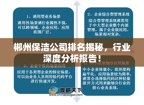 郴州保洁公司排名揭秘，行业深度分析报告！