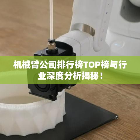 机械臂公司排行榜TOP榜与行业深度分析揭秘！