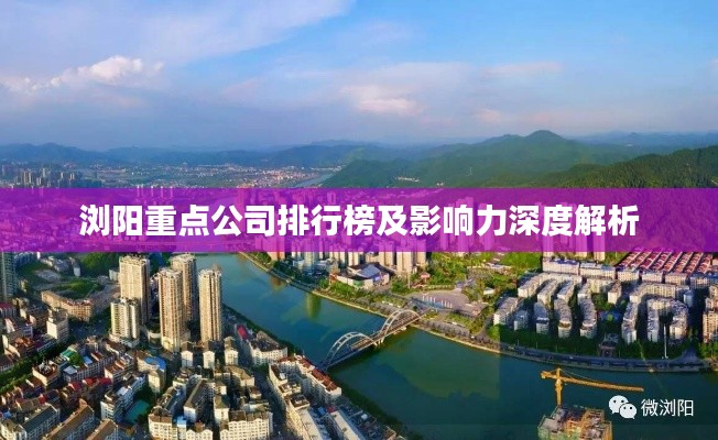 浏阳重点公司排行榜及影响力深度解析