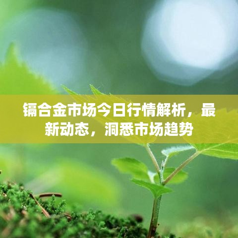 镉合金市场今日行情解析，最新动态，洞悉市场趋势