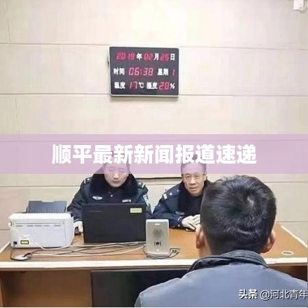 顺平最新新闻报道速递