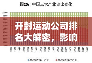 开封运动公司排名大解密，影响力深度剖析！