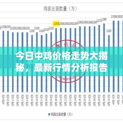 今日中鸡价格走势大揭秘，最新行情分析报告！