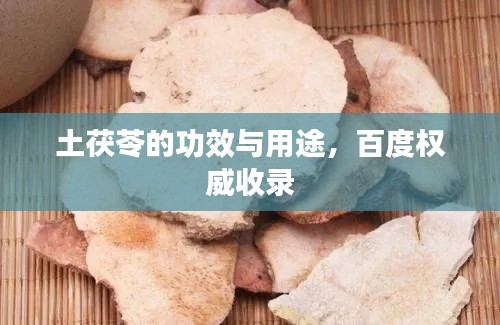 土茯苓的功效与用途，百度权威收录