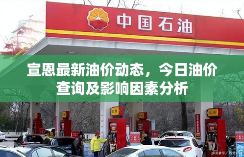 宣恩最新油价动态，今日油价查询及影响因素分析