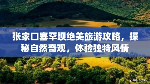 张家口塞罕坝绝美旅游攻略，探秘自然奇观，体验独特风情