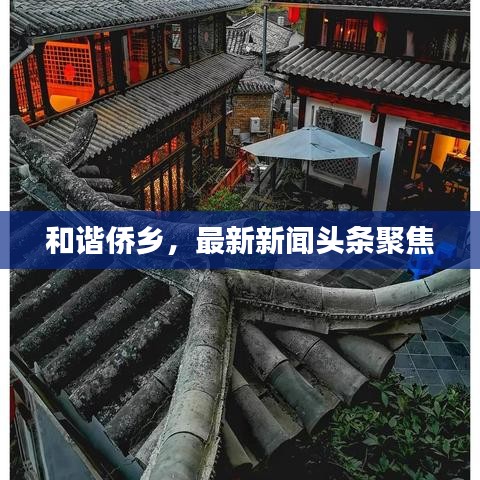 和谐侨乡，最新新闻头条聚焦