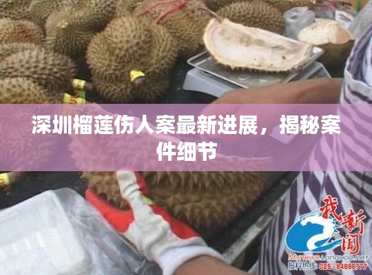 深圳榴莲伤人案最新进展，揭秘案件细节