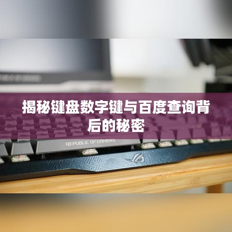 揭秘键盘数字键与百度查询背后的秘密