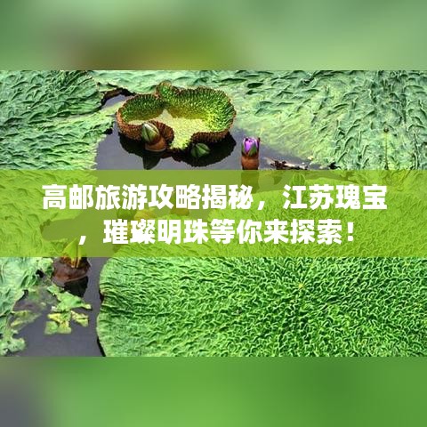 高邮旅游攻略揭秘，江苏瑰宝，璀璨明珠等你来探索！