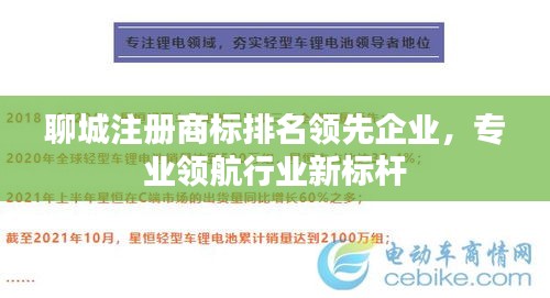 聊城注册商标排名领先企业，专业领航行业新标杆