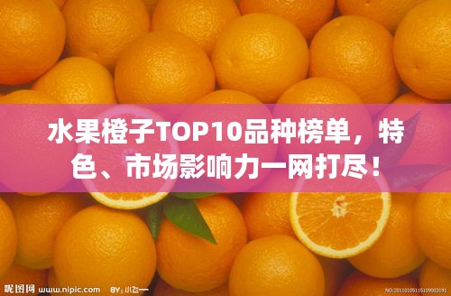 水果橙子TOP10品种榜单，特色、市场影响力一网打尽！