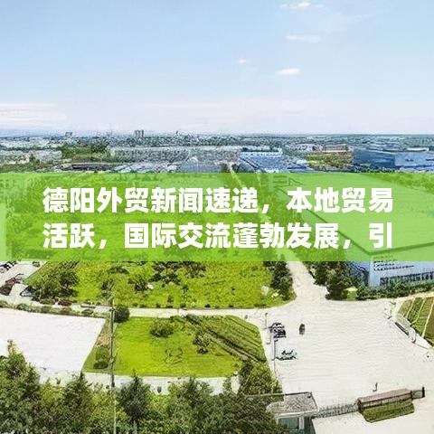 德阳外贸新闻速递，本地贸易活跃，国际交流蓬勃发展，引领全新贸易潮流