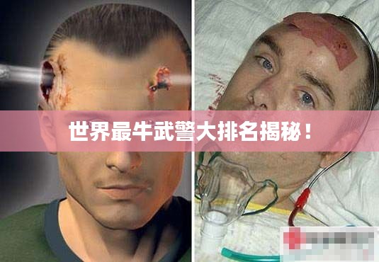 知错就改