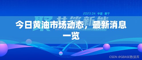 今日黄油市场动态，最新消息一览