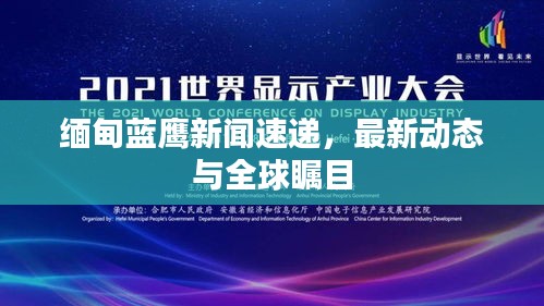 缅甸蓝鹰新闻速递，最新动态与全球瞩目