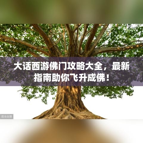 大话西游佛门攻略大全，最新指南助你飞升成佛！