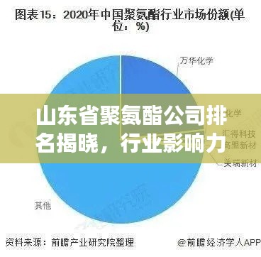 山东省聚氨酯公司排名揭晓，行业影响力与市场份额一览