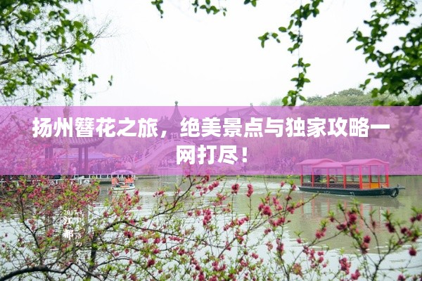 扬州簪花之旅，绝美景点与独家攻略一网打尽！