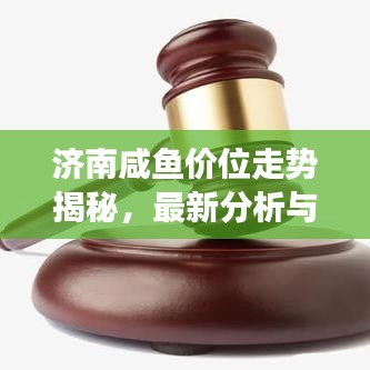 济南咸鱼价位走势揭秘，最新分析与观察报告