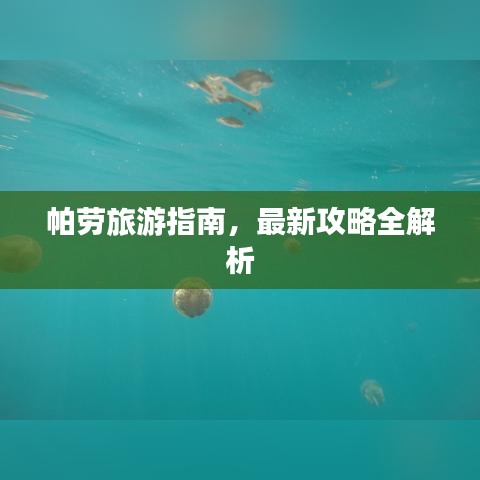 帕劳旅游指南，最新攻略全解析