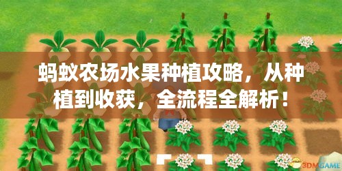 蚂蚁农场水果种植攻略，从种植到收获，全流程全解析！