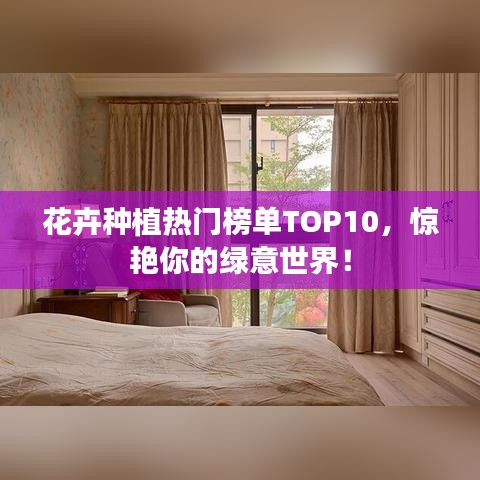 花卉种植热门榜单TOP10，惊艳你的绿意世界！