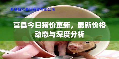 莒县今日猪价更新，最新价格动态与深度分析