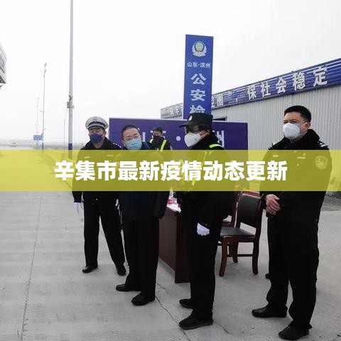 辛集市最新疫情动态更新