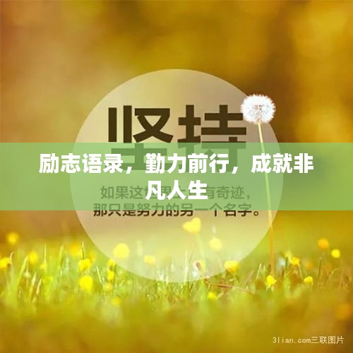 励志语录，勤力前行，成就非凡人生