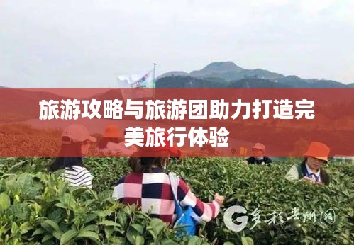 旅游攻略与旅游团助力打造完美旅行体验