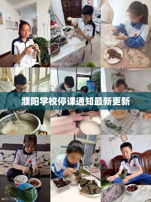 濮阳学校停课通知最新更新