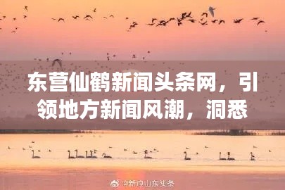 东营仙鹤新闻头条网，引领地方新闻风潮，洞悉天下事