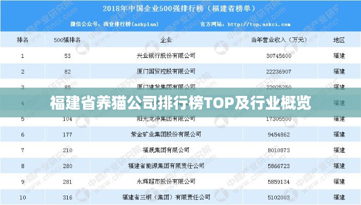 福建省养猫公司排行榜TOP及行业概览