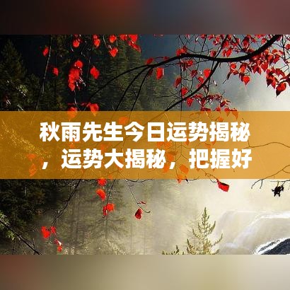 秋雨先生今日运势揭秘，运势大揭秘，把握好运势机会！