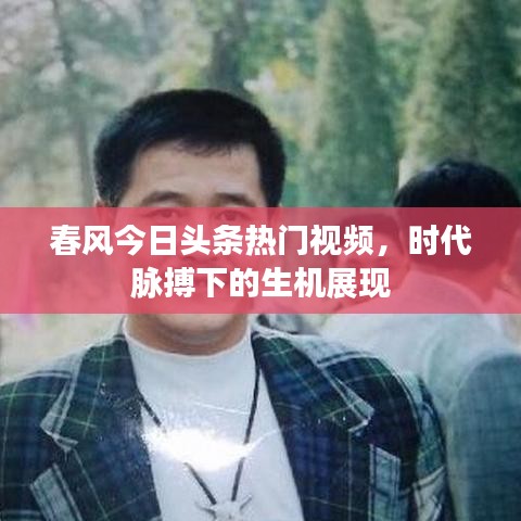 春风今日头条热门视频，时代脉搏下的生机展现