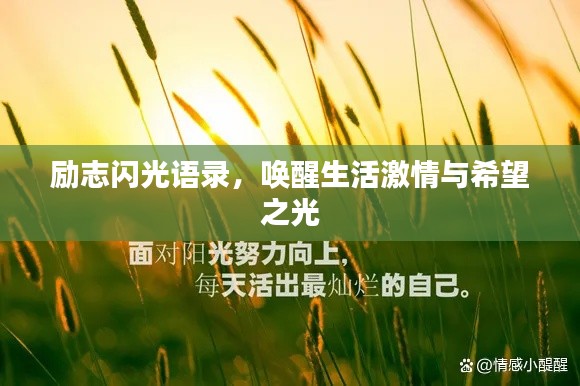 2025年5月11日