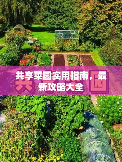 共享菜园实用指南，最新攻略大全