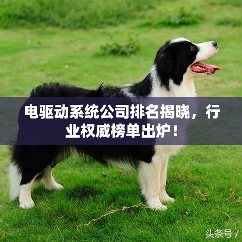 电驱动系统公司排名揭晓，行业权威榜单出炉！