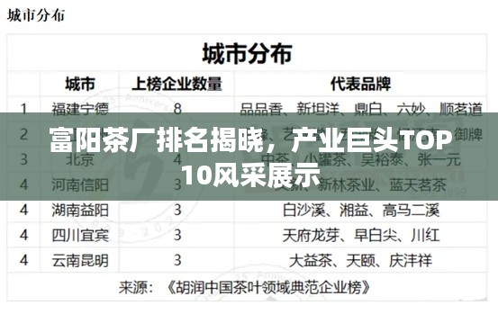 富阳茶厂排名揭晓，产业巨头TOP10风采展示