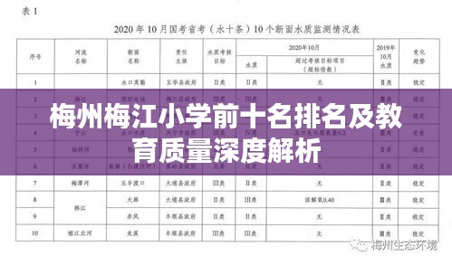 梅州梅江小学前十名排名及教育质量深度解析