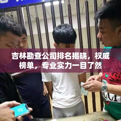 吉林勘查公司排名揭晓，权威榜单，专业实力一目了然