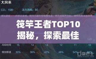 筏竿王者TOP10揭秘，探索最佳筏竿的奥秘