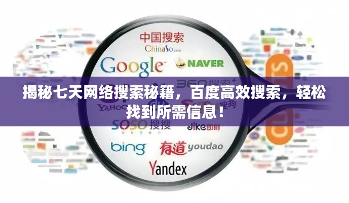 揭秘七天网络搜索秘籍，百度高效搜索，轻松找到所需信息！
