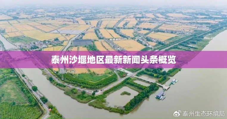 泰州沙堰地区最新新闻头条概览