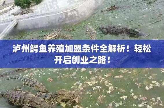 泸州鳄鱼养殖加盟条件全解析！轻松开启创业之路！