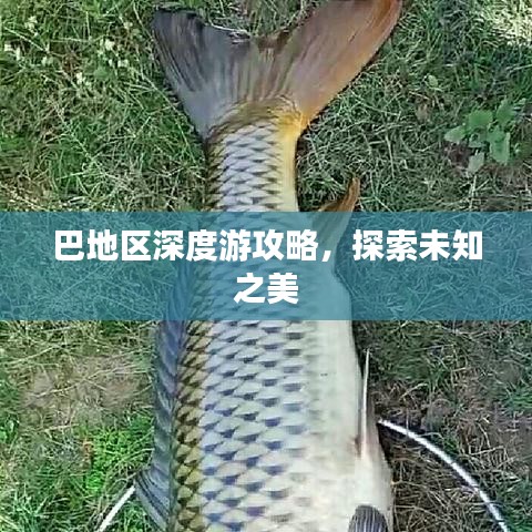 巴地区深度游攻略，探索未知之美